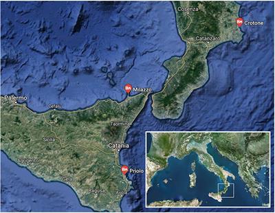 Air Quality Characterization at Three Industrial Areas in Southern Italy